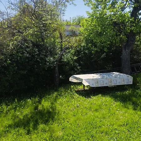 Kleines Haeuschen Mit Schoener Aussicht Case de vacanță *
